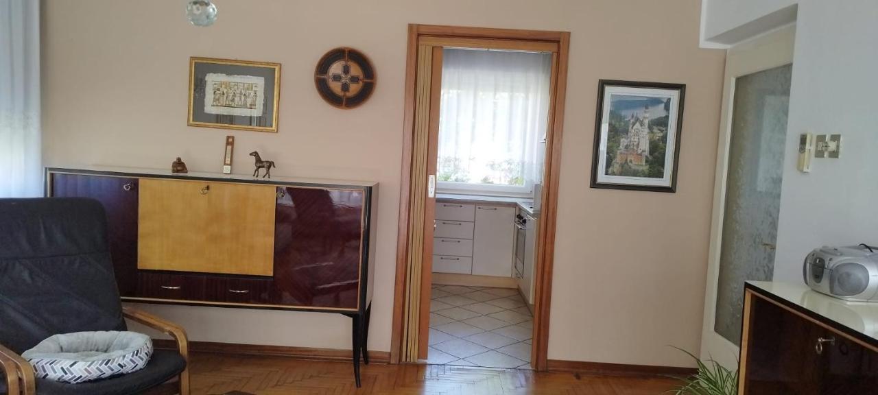 7 Flower Street Apartment Sempeter pri Gorici Esterno foto