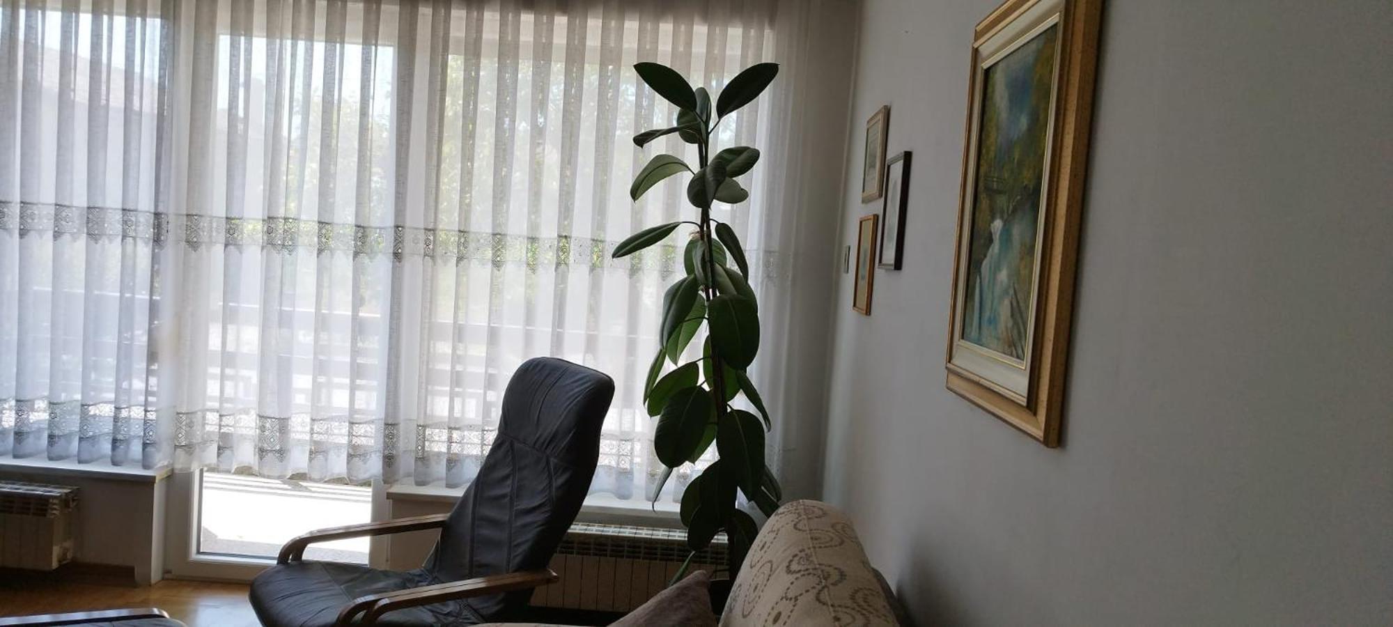 7 Flower Street Apartment Sempeter pri Gorici Esterno foto