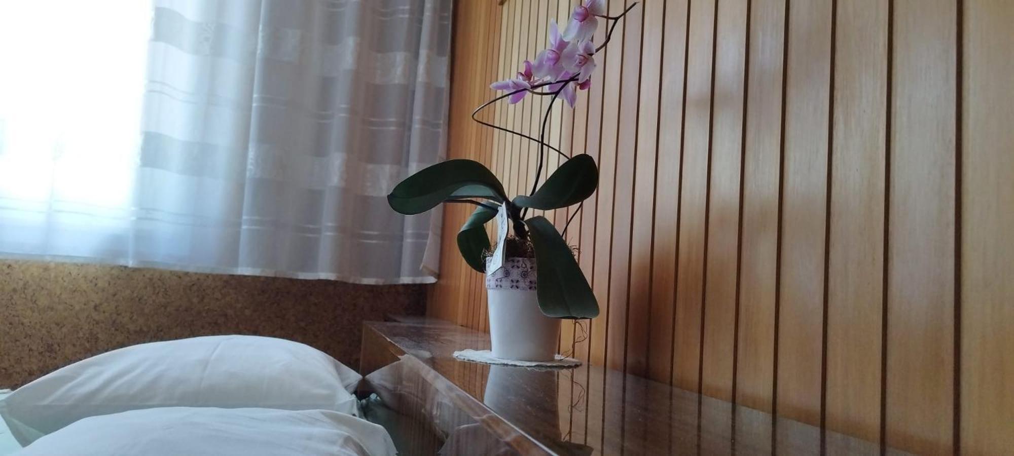 7 Flower Street Apartment Sempeter pri Gorici Esterno foto